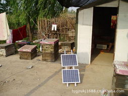 北京光聚能源科技 引領(lǐng)太陽(yáng)能發(fā)電技術(shù)服務(wù)的創(chuàng)新實(shí)踐